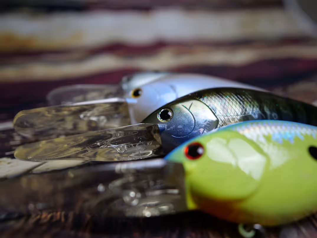 The 5 lures that dominated this season (And how to get them cheap this Saturday)